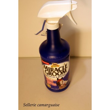 Shampoing spray "Miracle groom" 946 ml