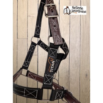 Licol Titan