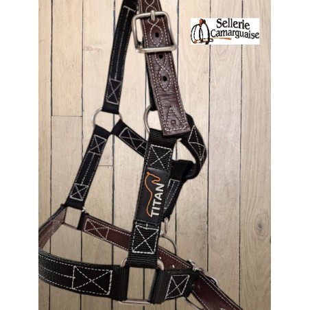 Licol Titan